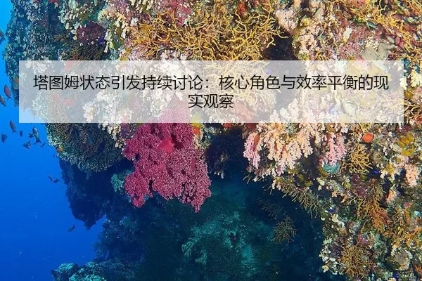 塔图姆状态引发持续讨论：核心角色与效率平衡的现实观察